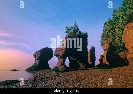 Rocce di Cape Hopewell a bassa marea nella Baia di Fundy rocce Parco Provinciale New Brunswick Canada Foto Stock