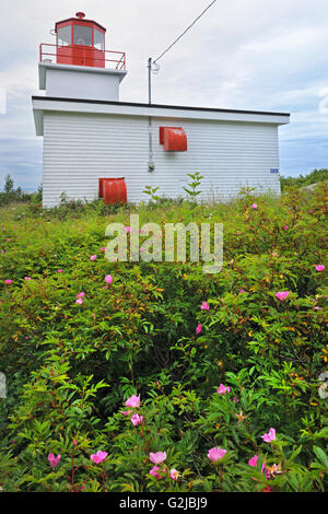 Lunga Eddy Point lighthouse Grand Manan Island New Brunswick Canada Foto Stock