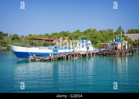 Barca dal molo Cayo Levisa isola, Cuba Foto Stock