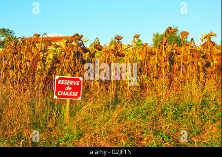 Riserva de Chasse, riservati per la caccia, segno, Lot-et-Garonne Department, Aquitaine, Francia Foto Stock