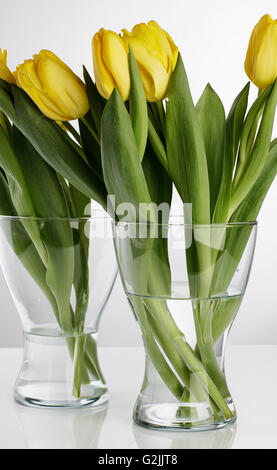 Bouquet di bellissimi tulipani gialli con gocce di rugiada nel vaso di vetro Foto Stock