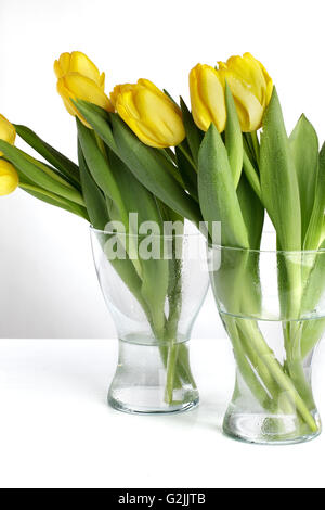 Bouquet di bellissimi tulipani gialli con gocce di rugiada nel vaso di vetro Foto Stock