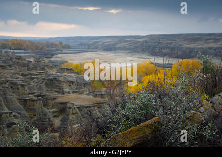 Paesaggio, scrivendo sul parco di pietra, Alberta, Canada Foto Stock