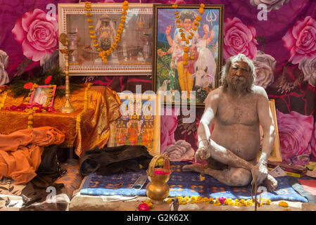 Vecchio Naga Sadhu Akhara interno, Ujjain Kumbh Mela 2016 Foto Stock