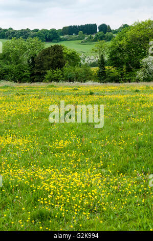 Farthing Downs, un'area di spazio aperto di proprietà della città di Londra e facente parte della cintura verde di terra a sud di Londra. Foto Stock
