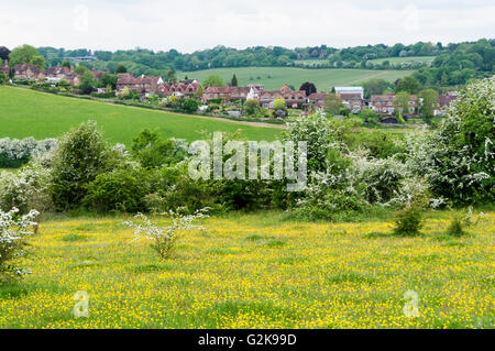 Farthing Downs, un'area di spazio aperto di proprietà della città di Londra e facente parte della cintura verde di terra a sud di Londra. Foto Stock
