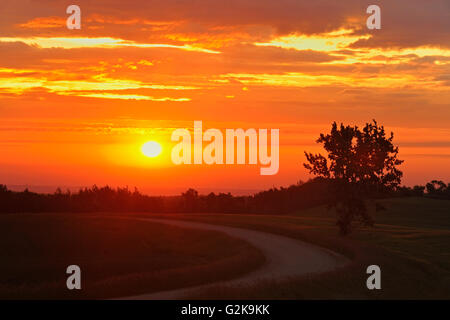 Country Road a sunrise Baljennie Saskatchewan Canada Foto Stock