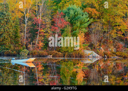 Barca sul Lago Corvo in autunno Raven lago vicino Dorset Ontario Canada Foto Stock