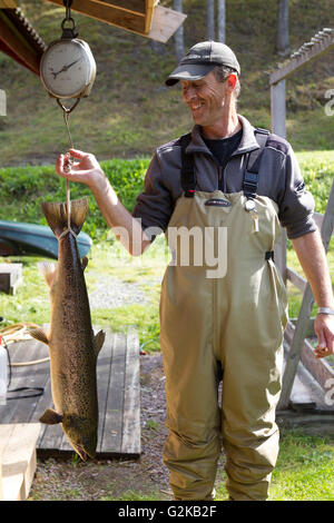 Un sorridente pescatore norvegese tenendo premuto fino a appena pescato il salmone atlantico,Telemark,Norvegia. Foto Stock