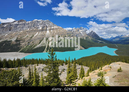 Il Lago Peyto e nelle Montagne Rocciose Canadesi il Parco Nazionale di Banff Alberta Canada Foto Stock