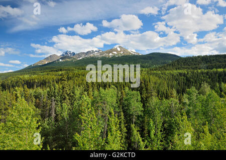 Il paesaggio nei pressi di Buona Speranza Lago Stewart-Cassiar autostrada della Columbia britannica in Canada Foto Stock