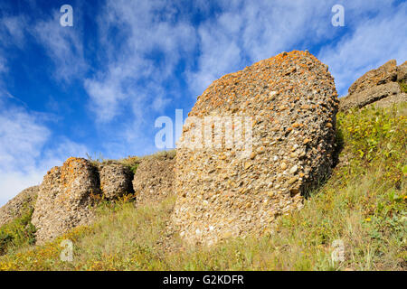 Le scogliere di conglomerato Cypress Hills Parco Provinciale del Saskatchewan, Canada Foto Stock