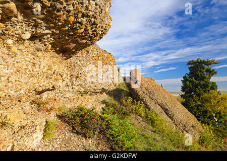 Le scogliere di conglomerato Cypress Hills Parco Provinciale del Saskatchewan, Canada Foto Stock