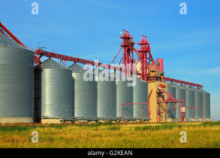 Entroterra terminale di grano Corinne Saskatchewan Canada Foto Stock