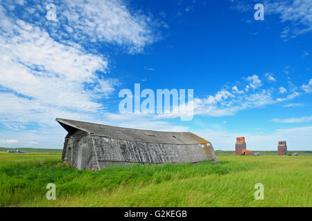 Il tetto del vecchio fienile rand vecchia granella ascensori Neidpath Saskatchewan Canada Foto Stock