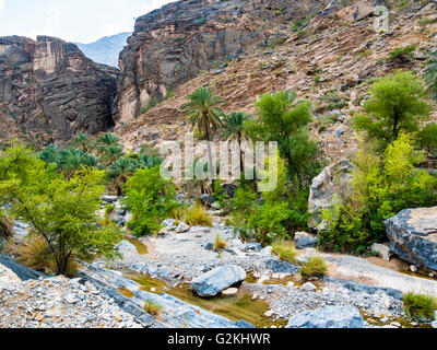 Oman, Jebel Akhdar, Al Batinah, vista panoramica di Wadi Bani AWF Foto Stock