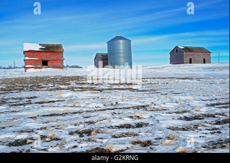 Antica cascina in inverno Viceré Saskatchewan Canada Foto Stock