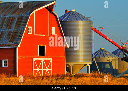 Granaio rosso, contenitori del cereale e la coclea a sunrise vicino a Moose Jaw Saskatchewan Canada Foto Stock