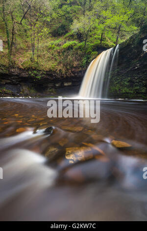 Sgwd Gwladus (Lady cade)lungo la Afon Nedd Fechan nel Parco Nazionale di Brecon Beacons. Foto Stock