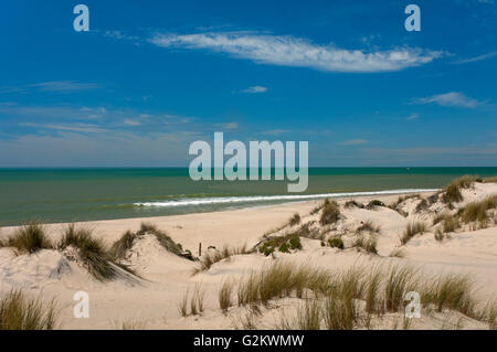 Dune e spiaggia naturale, parco nazionale di Donana, Almonte, Huelva, regione dell'Andalusia, Spagna, Europa Foto Stock