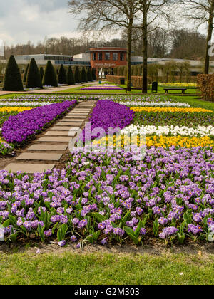 I visitatori a piedi attraverso e godetevi le molte diverse visualizzazioni del fiore a giardini Keukenhof lisse, Paesi Bassi. Foto Stock