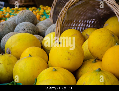 Meloni e Cantaloupes presso il Mercato degli Agricoltori Foto Stock