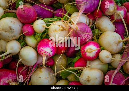 Uovo di Pasqua Ravanelli presso il Mercato degli Agricoltori Foto Stock