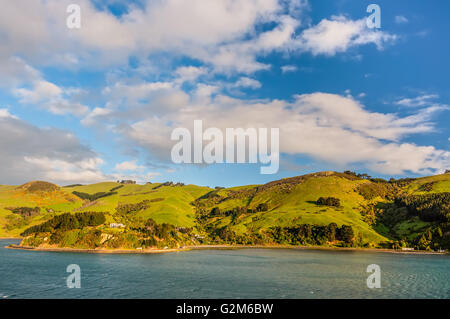 Nuova Zelanda paesaggistica costa paesaggio - una felice giornata di sole a Otago regione Isola del Sud della Nuova Zelanda Foto Stock