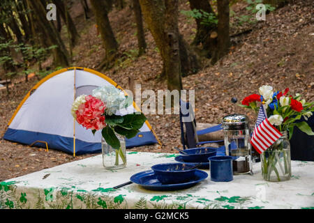 Tabella per il campeggio con bandierine americane Foto Stock