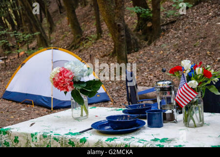 Tabella per il campeggio con bandierine americane Foto Stock