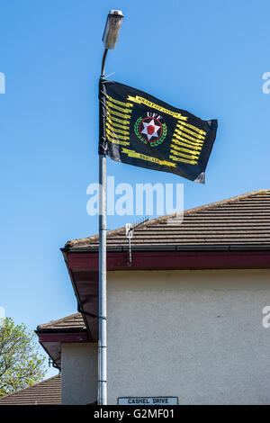 Ulster Freedom Fighters South East Antrim Brigade bandiera da lampione in lealisti Monkstown station wagon. Foto Stock