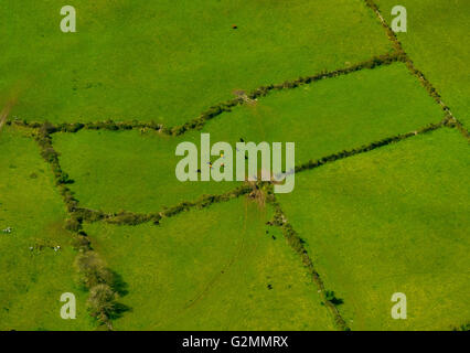 Vista aerea, Burren, verdi pascoli di mucche e pecore, riserva naturale, calcare, Chalk Formazione, Mullaghmore Burren Foto Stock