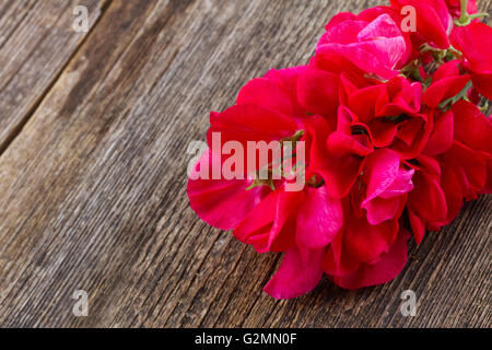 Pisello dolce fiori Foto Stock