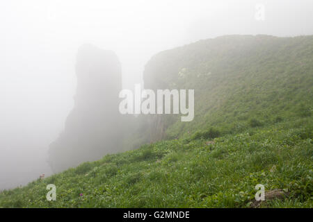 Nebbia di mare sulle scogliere sul mare a nord di Berwick-upon-Tweed, Northumberland. Foto Stock