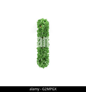 Foglie verdi mi ecologia lettera alfabeto font isolati su sfondo bianco. Il rendering 3D Foto Stock