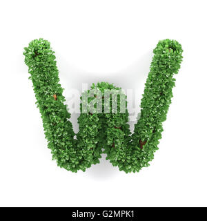 Foglie verdi W ecologia lettera alfabeto font isolati su sfondo bianco. Il rendering 3D Foto Stock