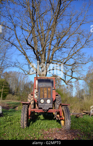 Vecchio usato retro trattore agricolo in una fattoria e la grande quercia Foto Stock