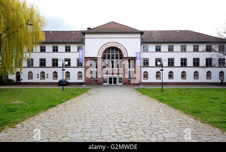 Il tedesco Museo della pelle, Offenbach am Main, Hesse, Germania Foto Stock