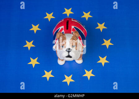 British bulldog si siede nella UE stelle simboleggianti il rimanere campagna o è intrappolato Foto Stock