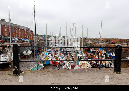 Barche a North Berwick harbour,Scozia. Foto Stock