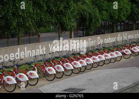 Velo Anversa, noleggio bici, schema di Anversa in Belgio Foto Stock