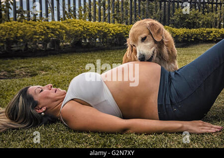 Donna incinta sdraiato in erba con il suo Golden Retriever Foto Stock