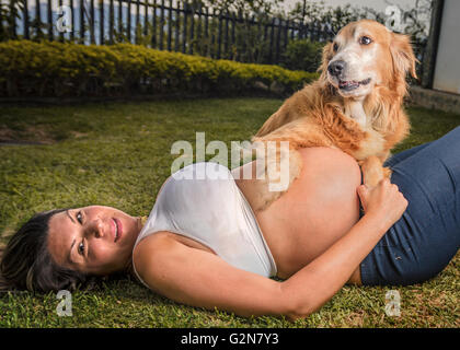 Donna incinta sdraiato in erba con il suo Golden Retriever Foto Stock