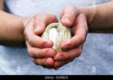 Uomo con una concretezza contenente un fossile ammonita Foto Stock