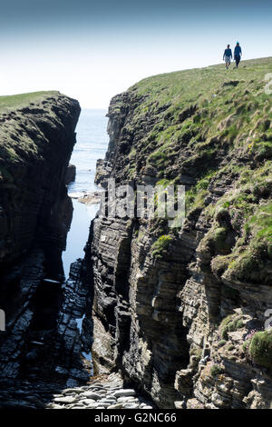 Walkers sul Brough di Birsay, Orkney continentale. Foto Stock