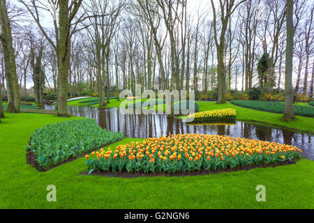 Paesaggio con la fioritura di bellissimi fiori e flusso di acqua nel famoso parco Keukenhof nei Paesi Bassi. Spring Garden. Natura Foto Stock