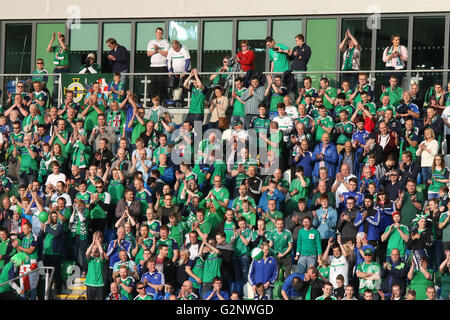 Belfast, 27 maggio 2016, l'Irlanda del Nord 3 Bielorussia 0. Esso è stato in Irlanda del Nord la ultima partita in casa prima di Euro 2016 e un full house ordinò il lato "Au revoir'. Foto Stock