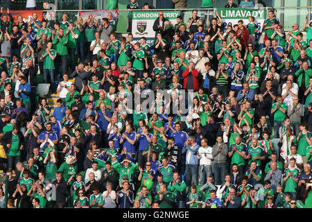 Belfast, 27 maggio 2016, l'Irlanda del Nord 3 Bielorussia 0. Esso è stato in Irlanda del Nord la ultima partita in casa prima di Euro 2016 e un full house ordinò il lato "Au revoir'. Foto Stock