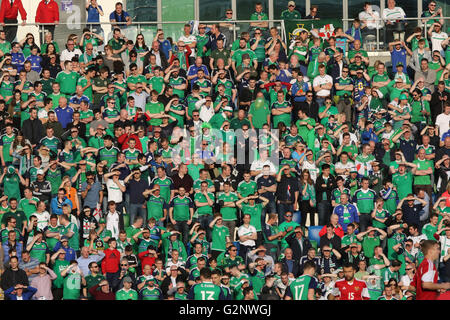 Belfast, 27 maggio 2016, l'Irlanda del Nord 3 Bielorussia 0. Esso è stato in Irlanda del Nord la ultima partita in casa prima di Euro 2016 e un full house ordinò il lato "Au revoir'. Foto Stock