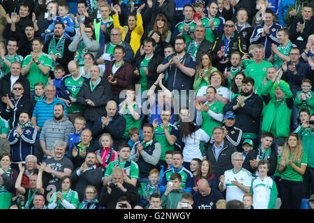 Belfast, 27 maggio 2016, l'Irlanda del Nord 3 Bielorussia 0. Esso è stato in Irlanda del Nord la ultima partita in casa prima di Euro 2016 e un full house ordinò il lato "Au revoir'. Foto Stock